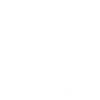 NASCH Logo